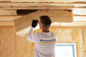 Best Basement Insulation  in Crystal City, TX