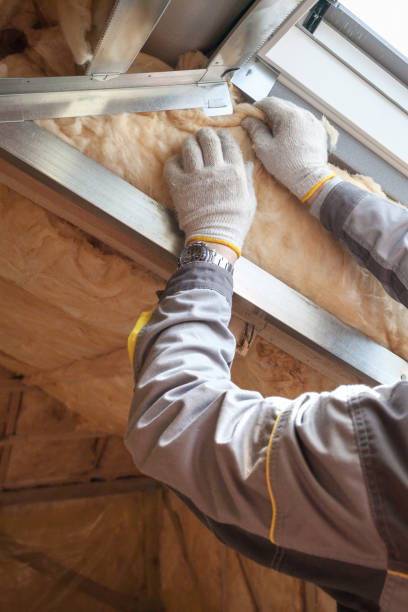 Best Blown-In Insulation  in Crystal City, TX