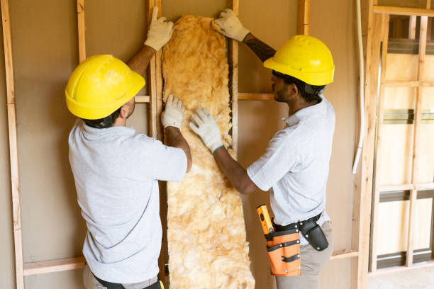 Eco-Friendly or Green Insulation Solutions in Crystal City, TX