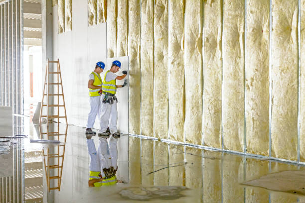 Best Commercial Insulation Services  in Crystal City, TX